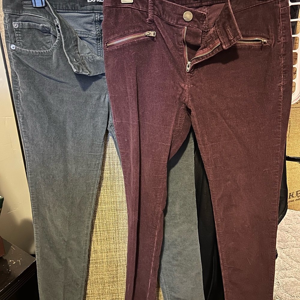 Express corduroy pants